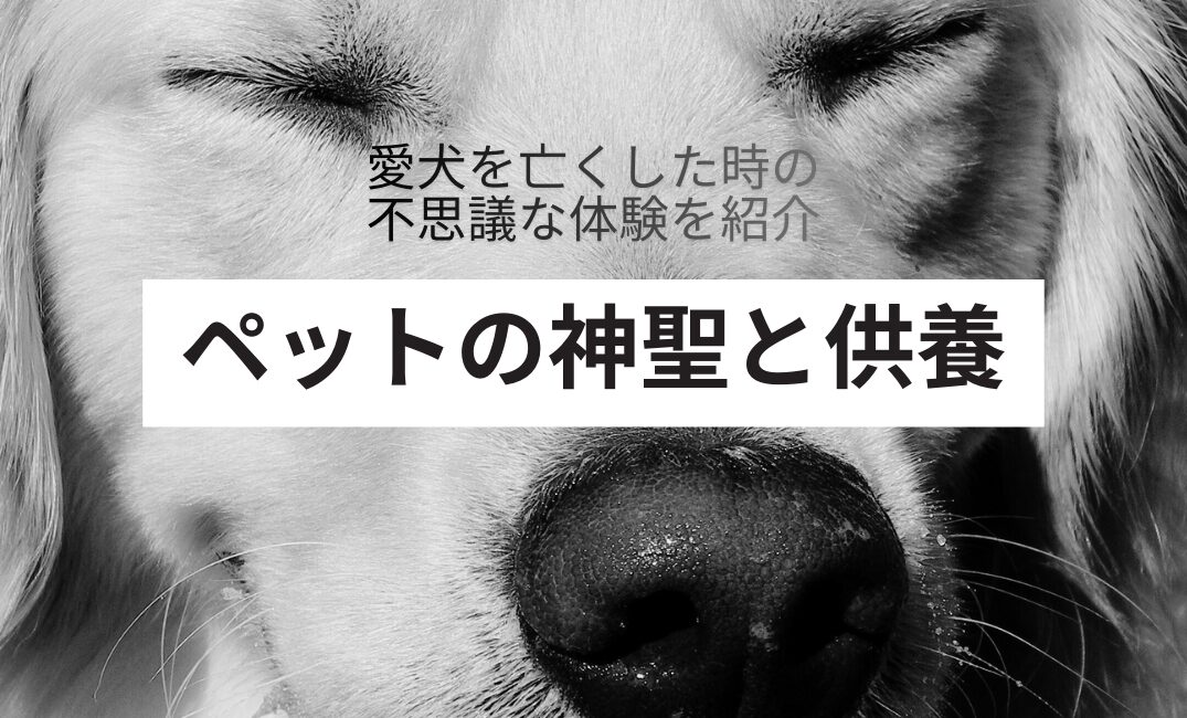 Pet-Memorial-Services